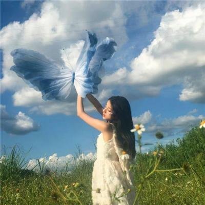 法医缉凶